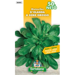 l'ortolano Motovilec D'Olanda a Seme Grosso 50 g