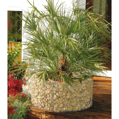 Bellissa Gabione visoka greda Okrogla Ø 92 cm/Ø 72 cm x 40 cm