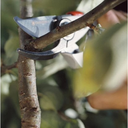 Gardena Vrtne škarje Premium BP 50 s premerom rezanja 22 mm