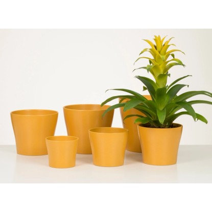 Scheurich Okrasni lonček 808 Ø 15 cm x 13 cm Curcuma