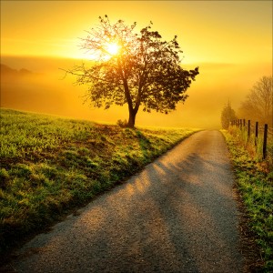 Pro-Art Slika na steklu Way to Horizon 30 cm x 30 cm x 1,3 cm