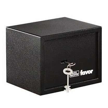 Burg Wächter Pohištveni trezor Favor S1 K črna