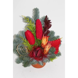 Nagrobni lonec Nobilis, pribl. 15 cm, rdeč