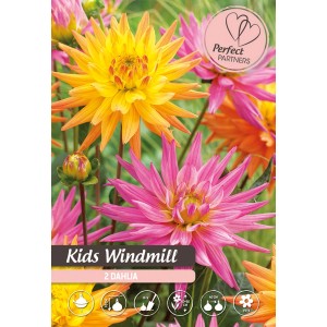 Dalije mešanica "Kids Windmill"