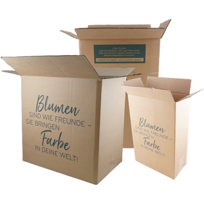 Trajni nagelj Pink Kisses rožnato-vijolična Ø lonca pribl. 10,5 cm Dianthus