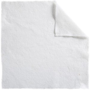 Heissner Koprena za ribnik Soft 200 g/m² 2 m širine