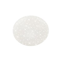 Brilo LED stropna svetilka Nebo Ø 27,8 cm x 7 cm bela