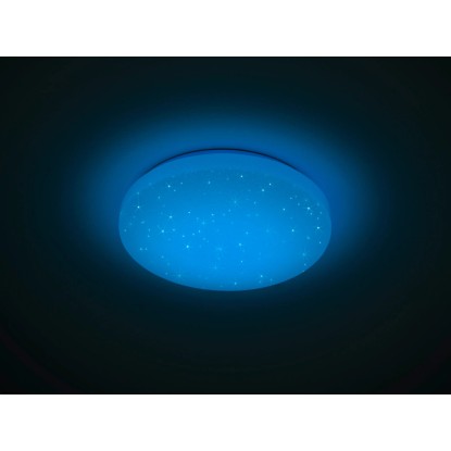 LED stropna svetilka Chara bela z 1-spotom 12 W 1000 lm