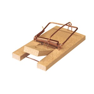 Swissinno Lesena past za miši