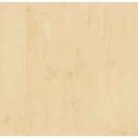 d-c-fix Lepilna folija breza 67,5 cm x 200 cm