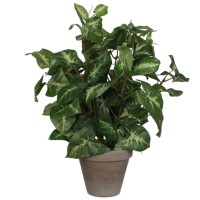 Mica Decorations Umetni singonij v cvetličnem lončku Ø 25 cm x 35 cm zelena