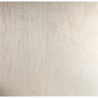 Vezana plošča 1.250 mm x 830 mm