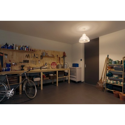 Philips Hue Enojno pakiranje White E27 1100 lm 100 W