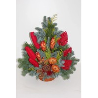 Nagrobni lonec Nobilis, pribl. 22 cm, rdeč