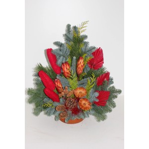 Nagrobni lonec Nobilis, pribl. 22 cm, rdeč