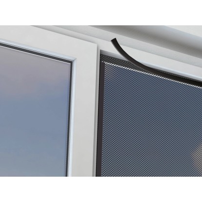 Dvojni ježkov trak 2 kosa x 5 m Bel