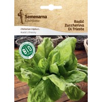 Semenarna Bio radič Zuccherina di Trieste