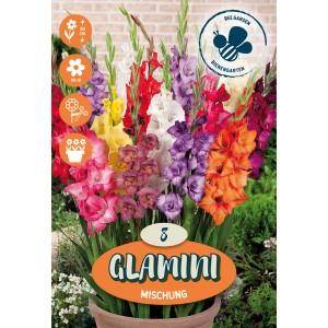 Gladiole "Velikocvetni miks"