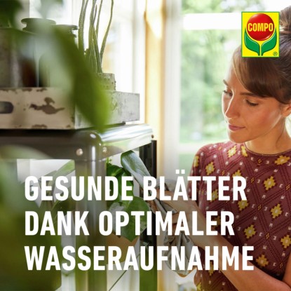 Compo Sana Substrat za zelene rastline in palme 20 l