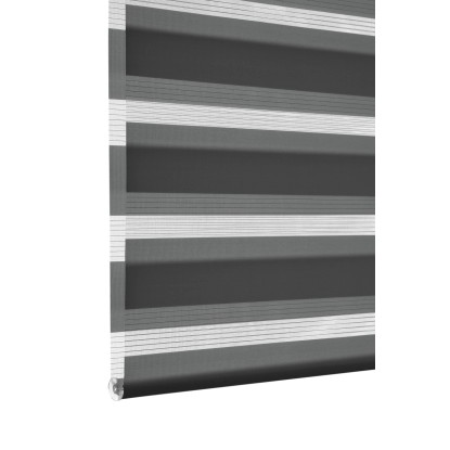 Gardinia Dvojni rolo EasyFix z montažno tirnico 100 cm x 150 cm antracit