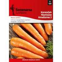 Semenarna Korenček Nantaise Amelioree 2