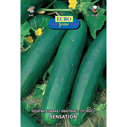 Semenske vrečke vrtnin Euro Seme