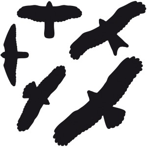 Swissinno Nalepke za okna Slike ptic 5 v kpl.