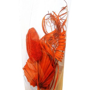 Cvetličarski komplet, oranžen