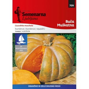 Semenarna Mediteran Buča muškatna