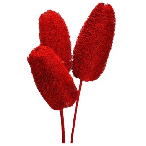 Okrasna rastlina lufa na steblu vinsko rdeča