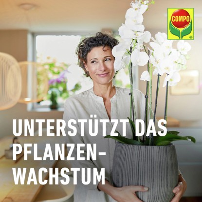 Compo Tekoče gnojilo za orhideje 250 ml