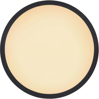Globo LED-stropna svetilka Sapana Ø 42 cm Črna