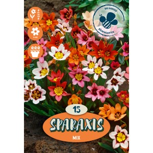 Sparaxis Različne barve