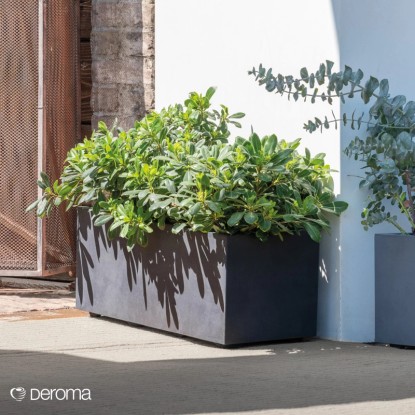Deroma Korito za rastline Millennium 59 cm x 25 cm x 25 cm antracitno