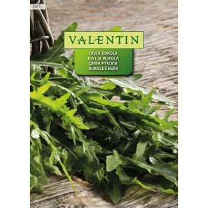 Valentin Divja rukola Diplotaxis Tenuifolia