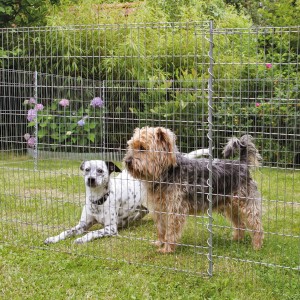 Bellissa Zaščitna ograja za ribnik/Ograda za male živali