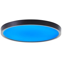 Brilliant Stropna LED svetilka Lotti RGB + CCT Ø 30cm črna/bela