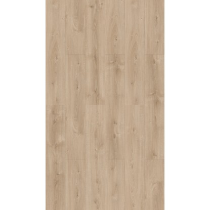 Parador Laminat Basic 600 hrast Avant deske za podeželsko hišo male