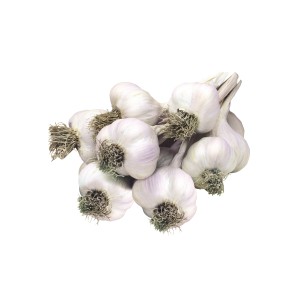 Česen ptujski spomladanski 500 g