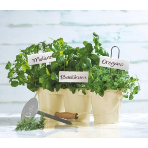 OBI Etikete za rastline bele 5 kosov