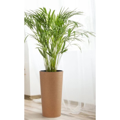 Cvetlični lonec Lilia Eco Dluto Ø 30 cm x 57 cm naravno rjave barve