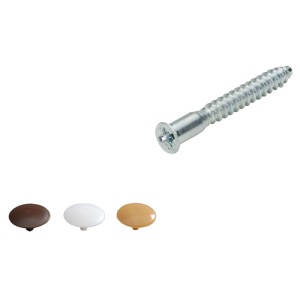 Vezni vijak s pokrivnim pokrovčkom Direkta 2 jeklo / plastika 16 kosov FLS