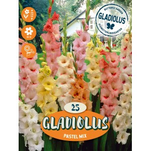 Gladiole "Pastel Mischung"