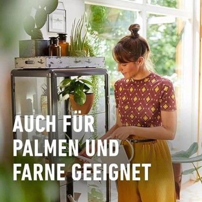 Compo Gnojilne palčke za zelene rastline in palme 30 kos