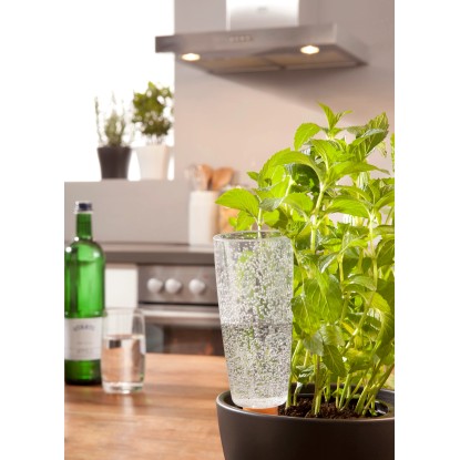Scheurich Zalivalna figura Copa M Prozorna 150 ml