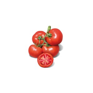 Sadika paradižnika Cherokee F1 cepljen 1 kos