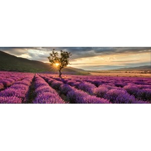 Glas-Art Silence 30 cm x 80 cm