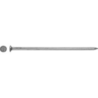 Žičnik z ravno glavo Ø 4,2 mm x 120 mm svetli 1 kg