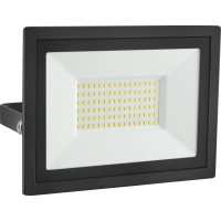 Zunanji reflektor FL 35W - LED aluminij črn