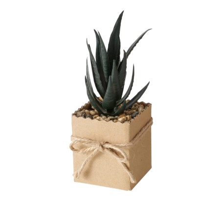 Boltze Lončnica Agamo 4 vrste sortirano 17 cm x 6 cm x 6 cm natur